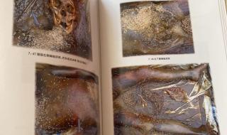 尸变图鉴变化电子版 尸变图鉴变化电子版